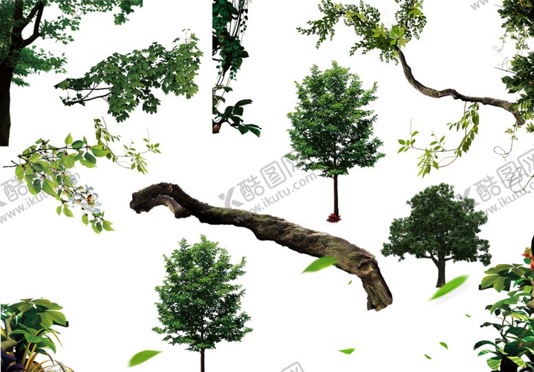 编号：46895310100352188026【酷图网】源文件下载-树藤