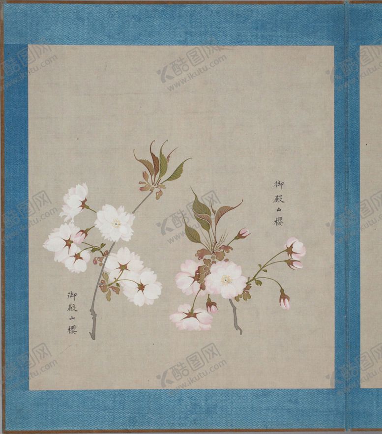 编号：17339003281445352831【酷图网】源文件下载-樱花