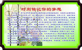用心照亮你的梦想