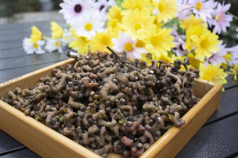 编号：81546803311742457896【酷图网】源文件下载-拐枣