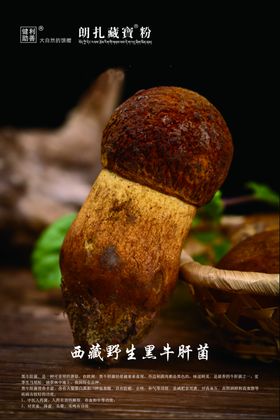 野生牛肝菌