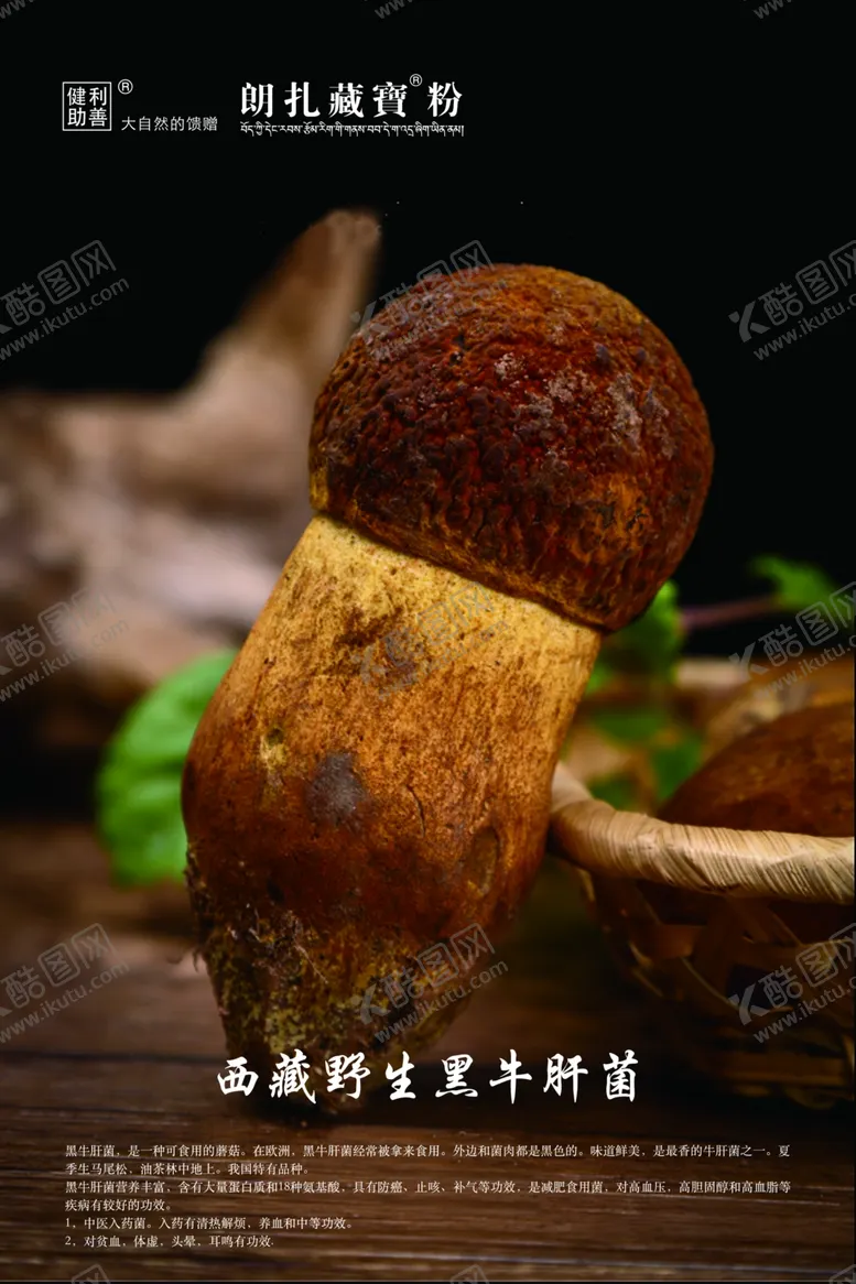 编号：13551506151455311844【酷图网】源文件下载-野生牛肝菌