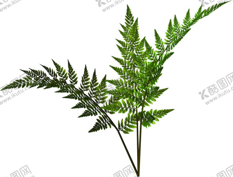 编号：49429610071255015755【酷图网】源文件下载-绿色装饰