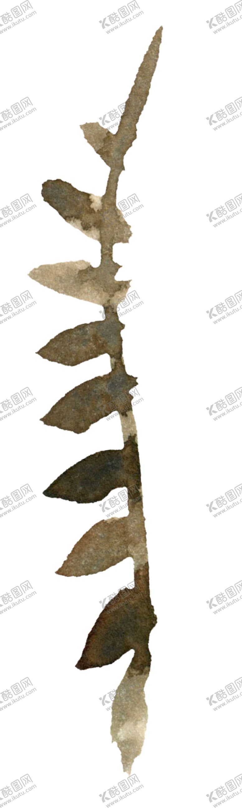 编号：70416502121131342258【酷图网】源文件下载-免扣植物素材图片
