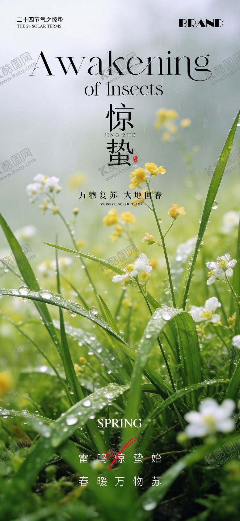 编号：96214203020205228817【酷图网】源文件下载-惊蛰节气海报