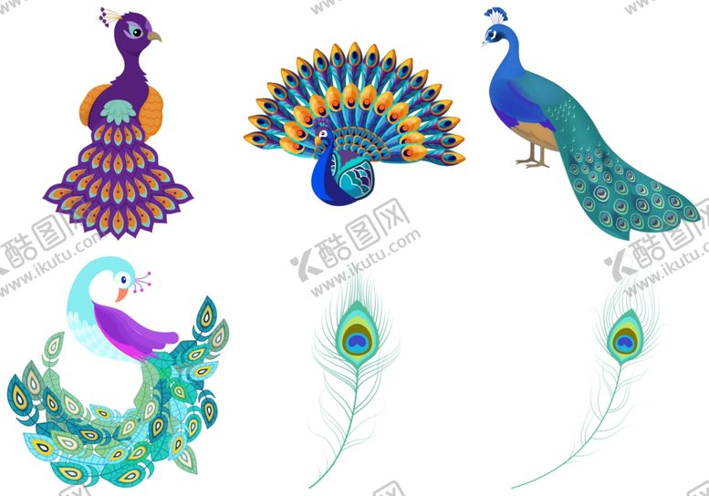 编号：28771609271243577758【酷图网】源文件下载-孔雀羽毛