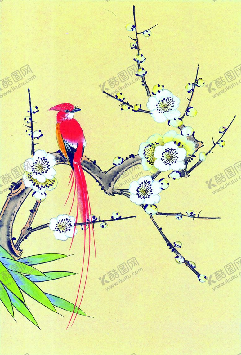 编号：78513009211933159051【酷图网】源文件下载-花鸟画