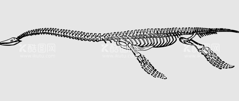 编号：10823511142020159899【酷图网】源文件下载-恐龙骨头线稿 线描 素描 线条