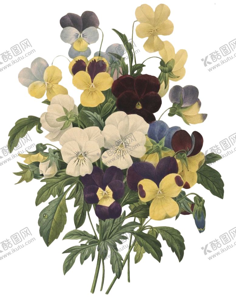 编号：29974706182218513733【酷图网】源文件下载-复古鲜花植物装饰图案