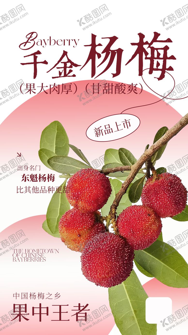 编号：65321609170539467150【酷图网】源文件下载-水果杨梅海报