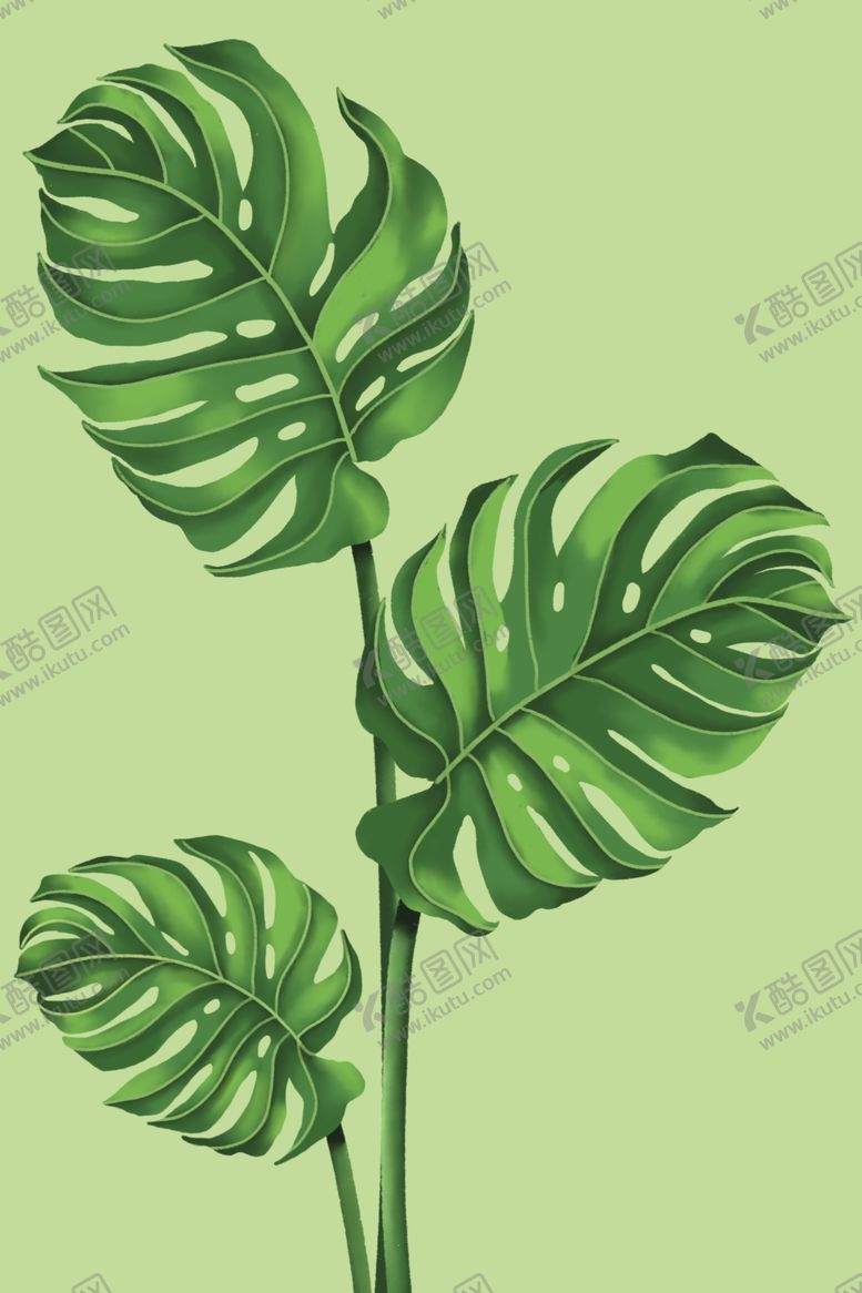 编号：38054909161438211887【酷图网】源文件下载-花叶