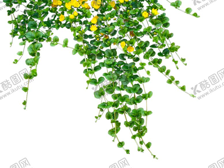 编号：78497909110418505769【酷图网】源文件下载-绿色相框