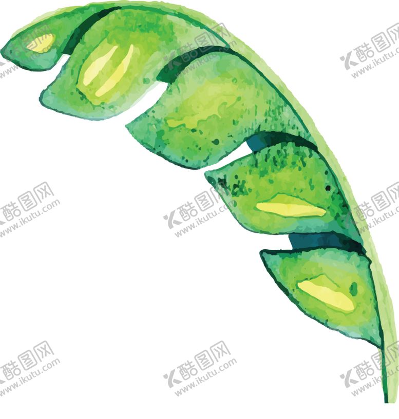 编号：68233709220022414055【酷图网】源文件下载-芭蕉叶热带