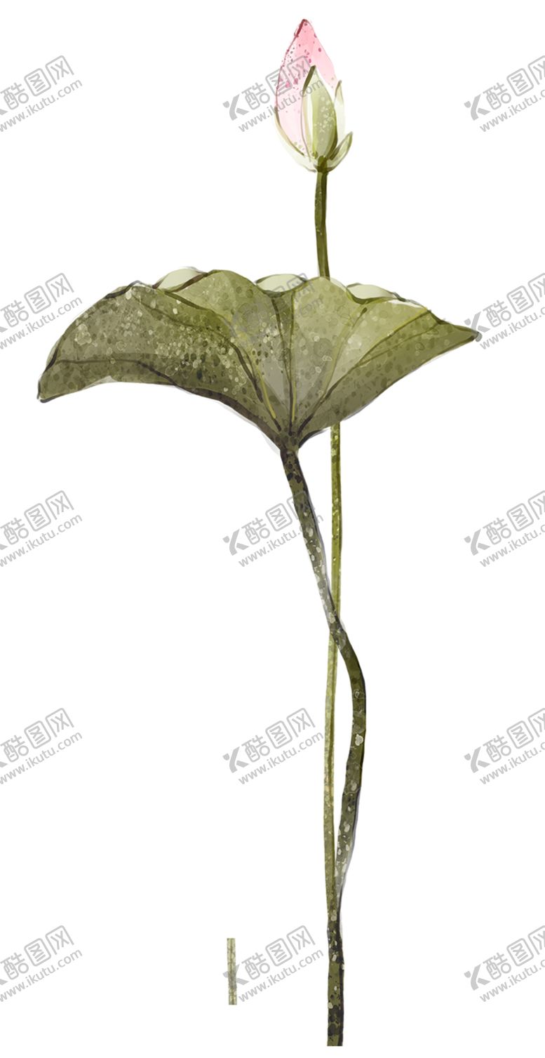 编号：17535010121014582715【酷图网】源文件下载-水墨荷花粉色荷花荷花意境