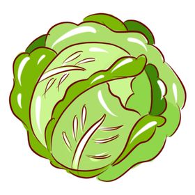 包菜手绘