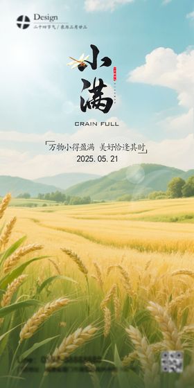 小满节气插画海报