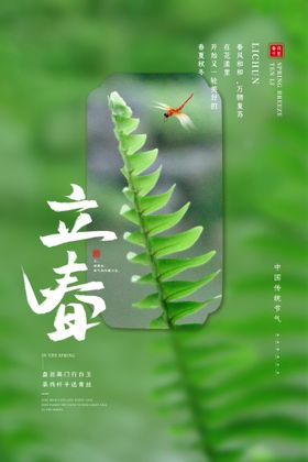 立春插画图片分踏青小清新海报