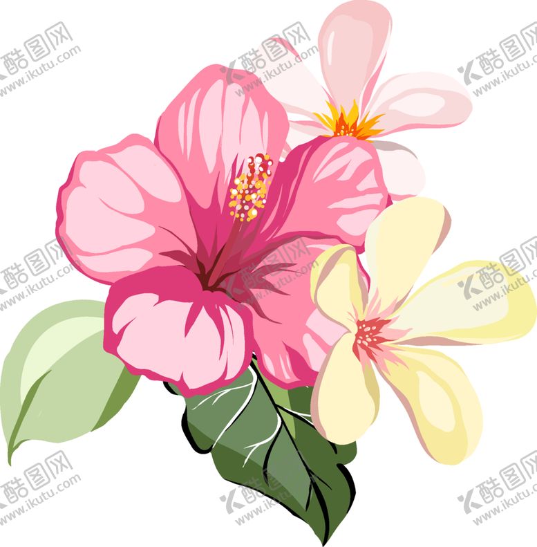 编号：68749203250748059136【酷图网】源文件下载-花卉