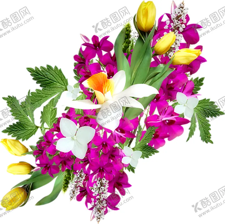 编号：63772106232112331933【酷图网】源文件下载-鲜花素材