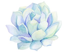 绿色相框