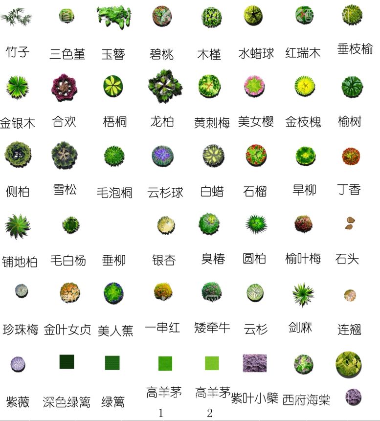 编号：57007712180245474131【酷图网】源文件下载-园林设计花草植物树木草坪