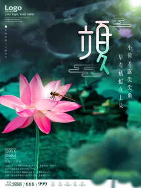 立夏露营树林泰国