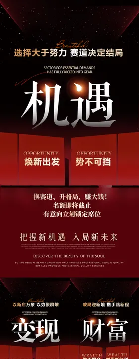 美业造势会议招商海报