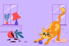 猫咪背景小壁纸宠物可爱