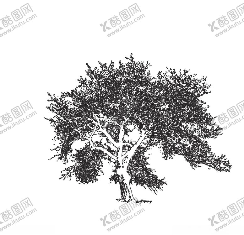 编号：43511809200554336724【酷图网】源文件下载-树木铅笔画矢量图