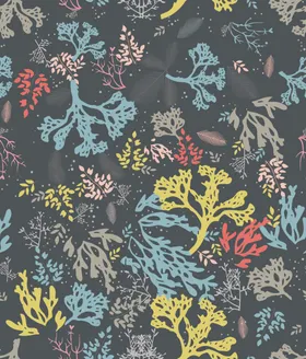 数码印花大牌服装服装