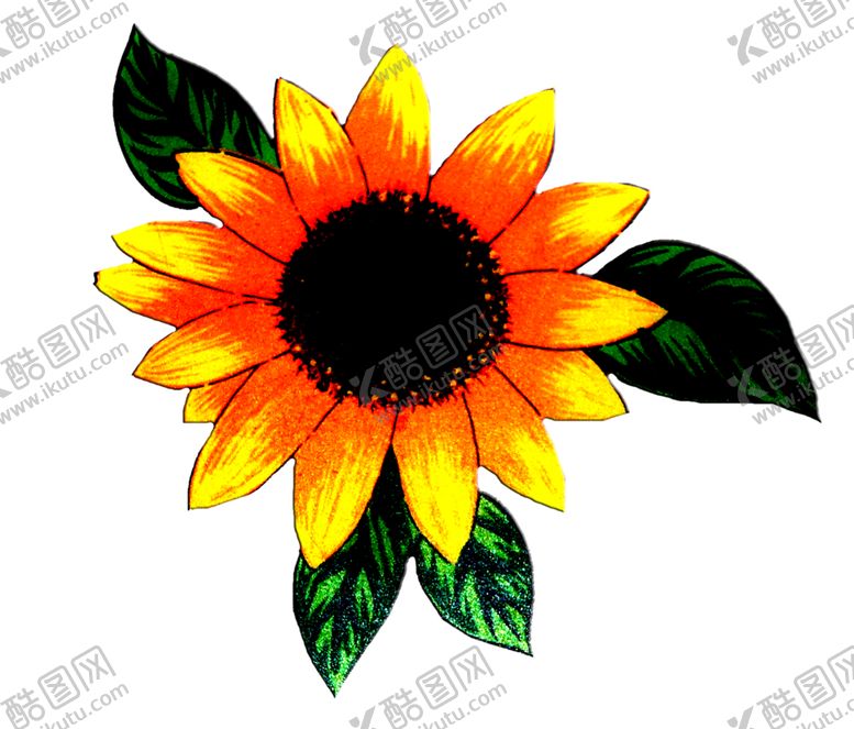 编号：38463209291929594496【酷图网】源文件下载-鲜花素材