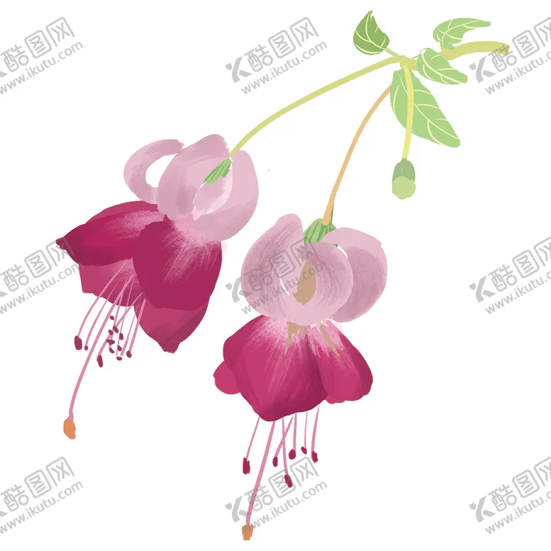 编号：06432509251125163604【酷图网】源文件下载-花朵 手绘