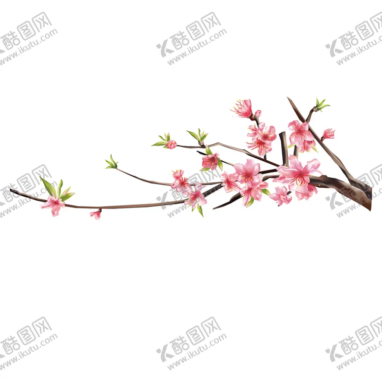 编号：64917009171212457692【酷图网】源文件下载-桃花