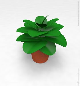 3d植物模型