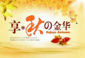 秋之美好 