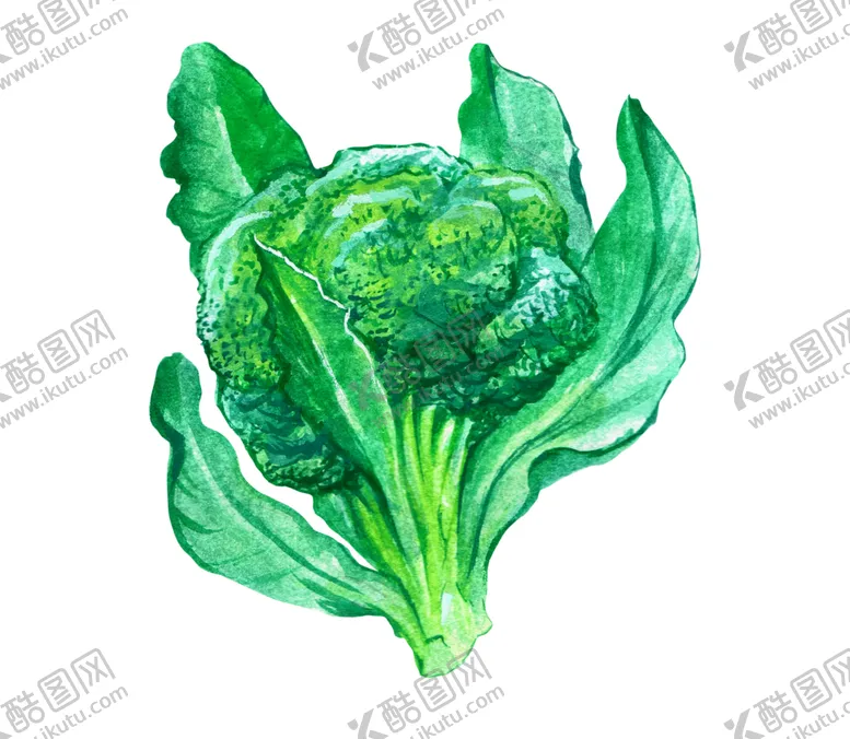 编号：13182803141616144204【酷图网】源文件下载-手绘彩色蔬菜免扣素材图片