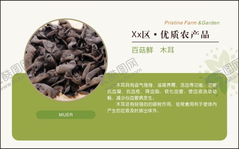 编号：16820201270115184892【酷图网】源文件下载-木耳 生态农业