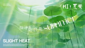 你好夏天