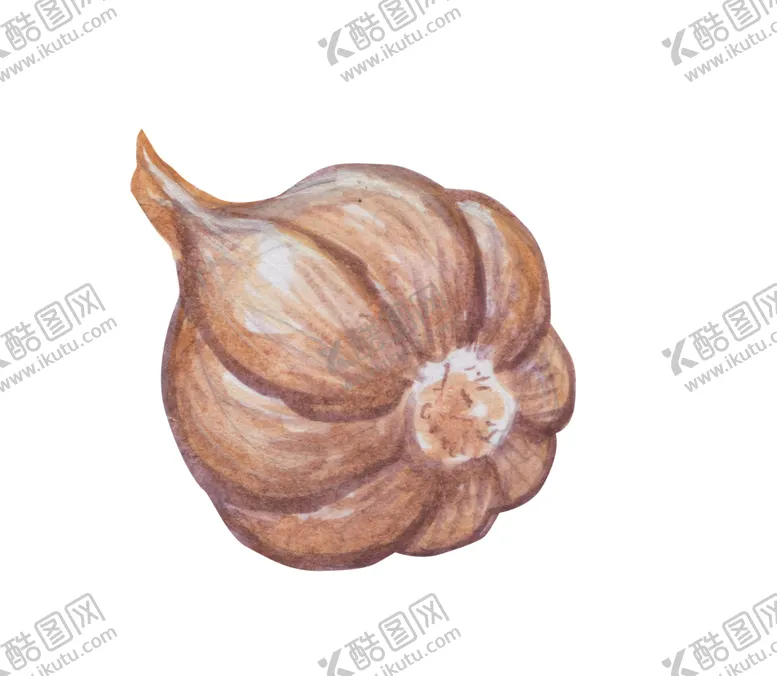 编号：10981903160326017817【酷图网】源文件下载-手绘彩色蔬菜免扣素材图片
