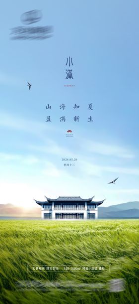 小满中式节气海报