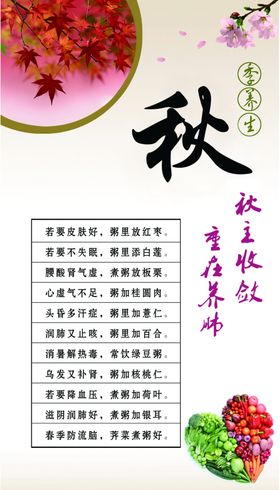 中医四季养生宣传栏