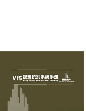 VI样机
