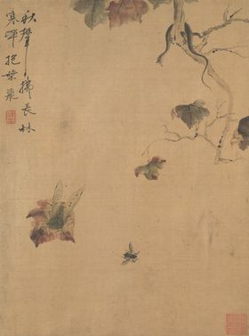 清代恽寿平花草绘画
