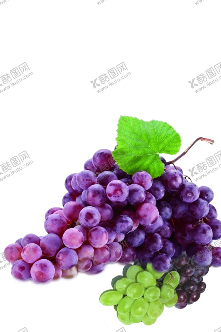 编号：52961210110117094260【酷图网】源文件下载-葡萄海报