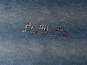 编号：14059610011322511924【酷图网】源文件下载-LOGO样机