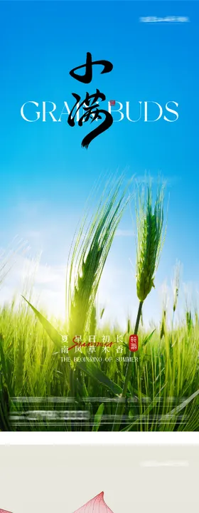 地产立夏小满美学系海报