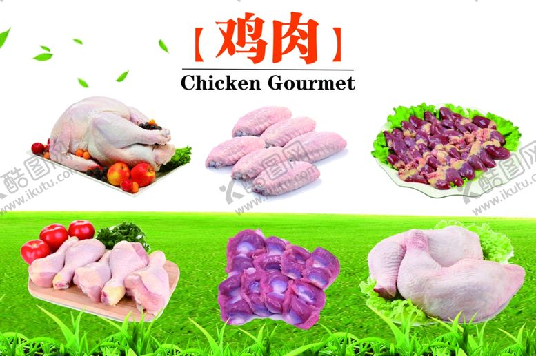 编号：70727305152205128328【酷图网】源文件下载-鸡肉结构图