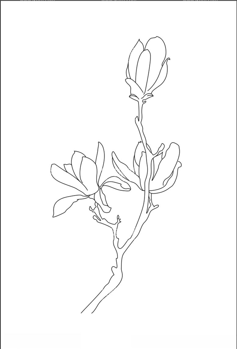 编号：32498103130958545133【酷图网】源文件下载-花枝条线条线稿白描