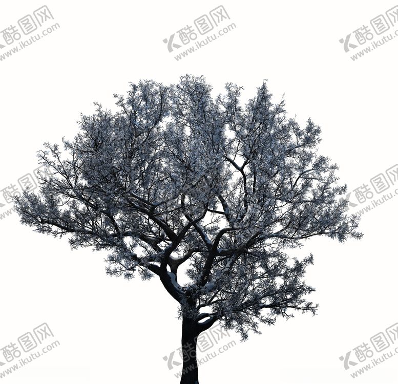 编号：37936410121402043728【酷图网】源文件下载-树木