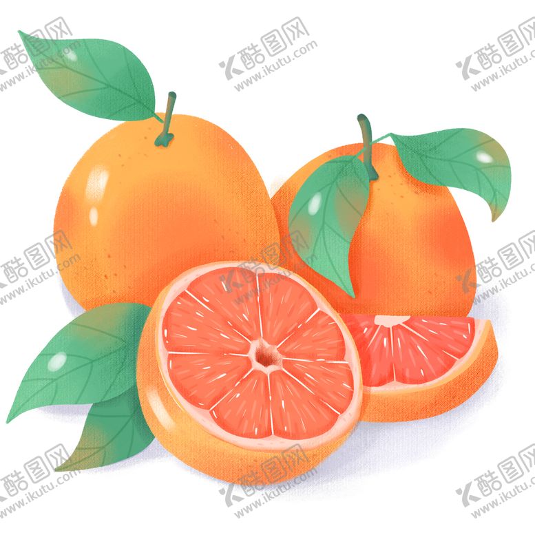 编号：96824309142006204126【酷图网】源文件下载-西柚手绘